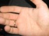 rhand3.JPG