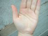 DSCN2058.JPG