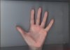 rykaleft.jpg