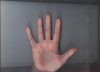 rykaright.jpg