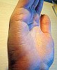 IMG_1416.jpg