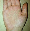 IMG_1406.jpg