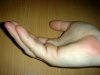DSC02183.JPG