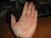 Resize of IMG_0224.jpg