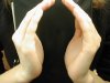 DSCN6037.JPG