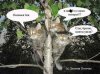stopme_ru_58_0_20061123_10953_7 копия.jpg