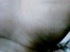 Picture 1433.jpg