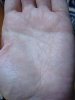 DSC01656.jpg