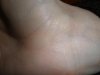 P1170286+.jpg