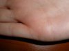 P1170285+.jpg