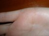 P1170287+.jpg