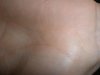 P1170288+.jpg