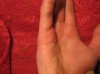 IMG_1482.JPG