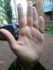 DSC00280.JPG
