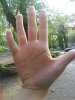 DSC00282.JPG