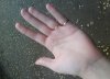 DSC00290.JPG