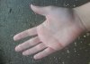 DSC00291.JPG