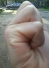 DSC00295.JPG