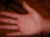 DSC03859.jpg