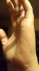 x_0234d54e.jpg