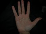 DSCN2513.JPG