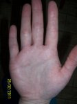 100_2511.JPG