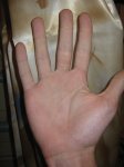 IMG_5073.jpg