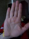 100_2532.JPG