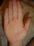DSC00113.JPG