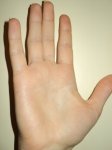 DSC00473.JPG