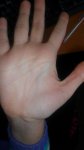 SAM_0547.JPG