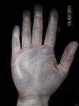 100_2641.jpg