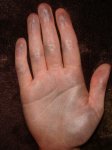 DSC05318.JPG