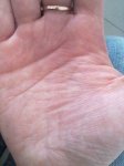 Фото902.jpg