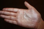 z_ced55407.jpg