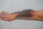 SDC10086.JPG