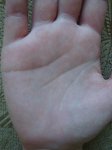 DSC02981.JPG