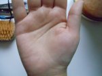 DSC00234.JPG