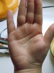 DSC00222.JPG