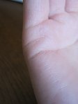 IMG_0684.jpg