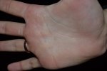 DSC_0216.jpg