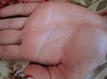 IMG_3013.JPG
