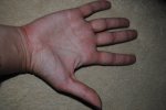 DSC_0032.JPG