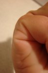 DSC04553.JPG