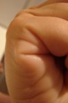 DSC04554.JPG