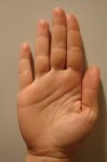 DSC04559.JPG
