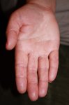 IMG_2385.JPG