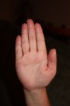 IMG_2387.JPG