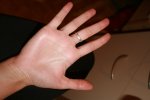IMG_8326.JPG