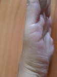 SDC11732.JPG